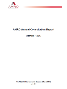 Vietnam Annual Consultation Report 2017 cover