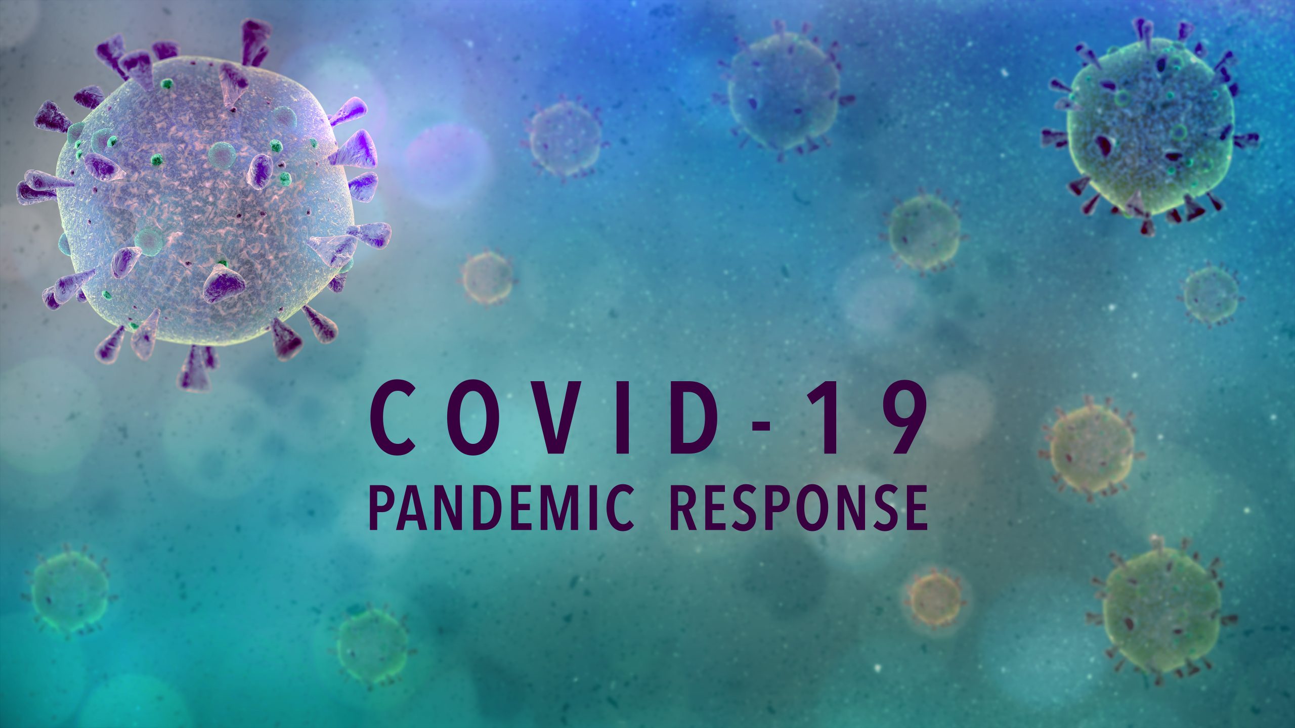 AMRO ASEAN+3 COVID-19 pandemic policy response database