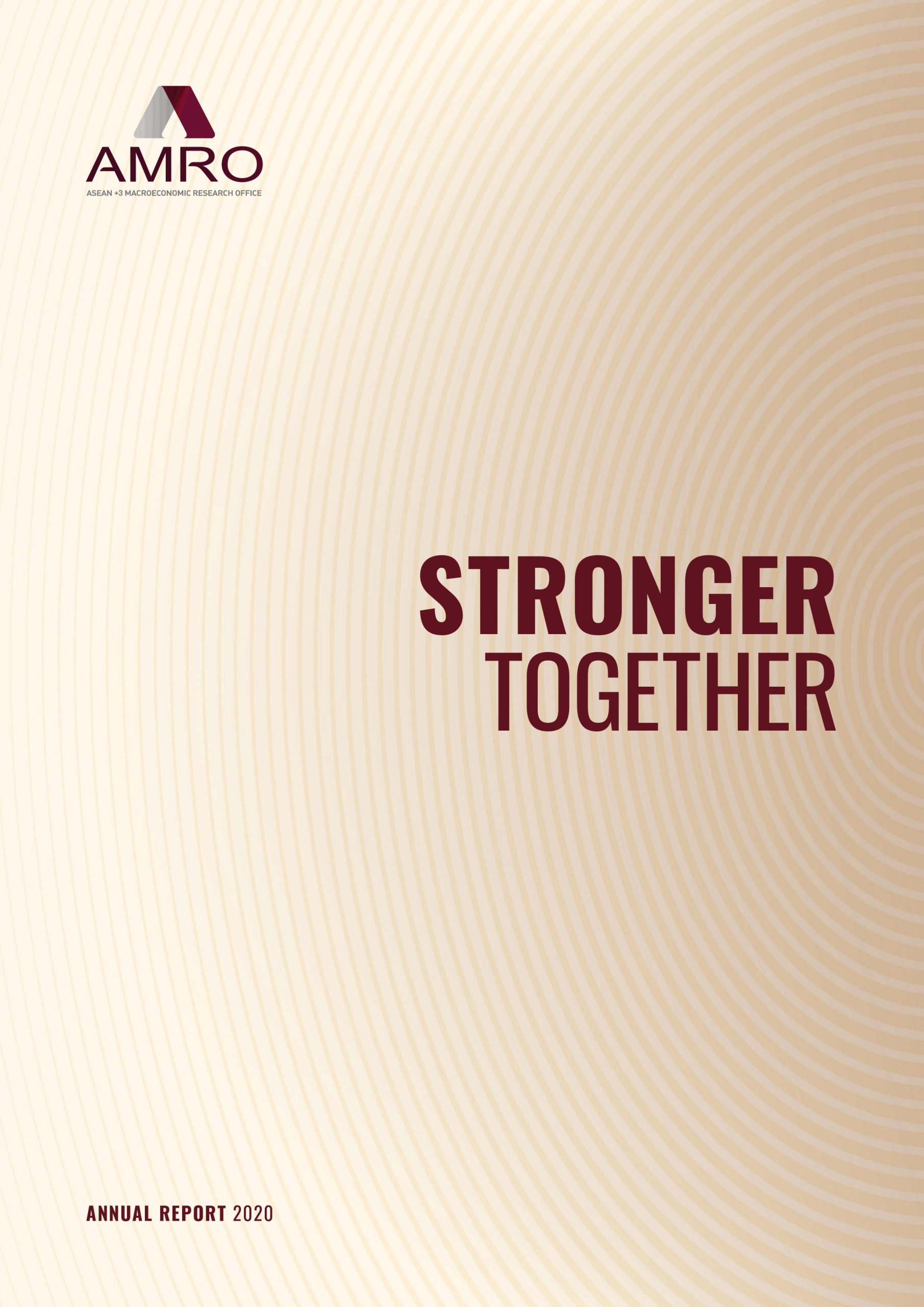 Cover image of Annual Report 2020