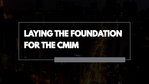 Laying the Foundation for the CMIM with Dr Eisuke Sakakibara