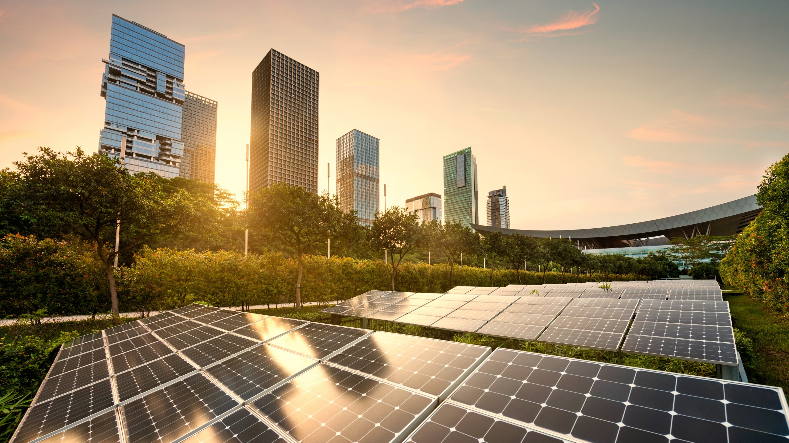Policy Challenges for China’s Carbon Neutrality-AMRO