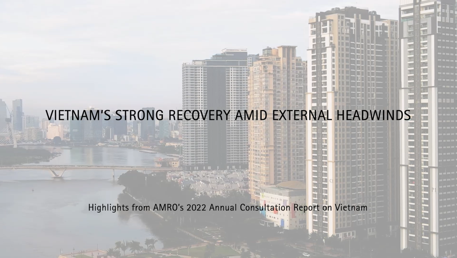 AMRO’s 2022 Annual Consultation Report on Vietnam