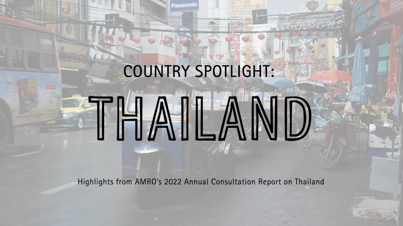 Highlights from Annual consultation report on Thailand