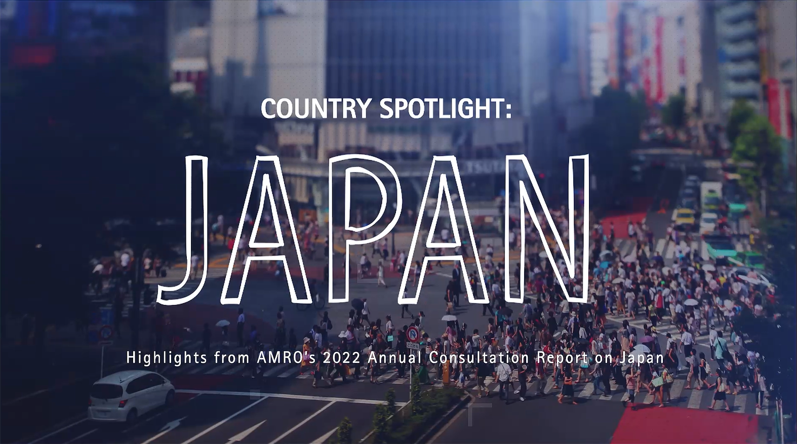 Japan Annual Consultation Report highlights
