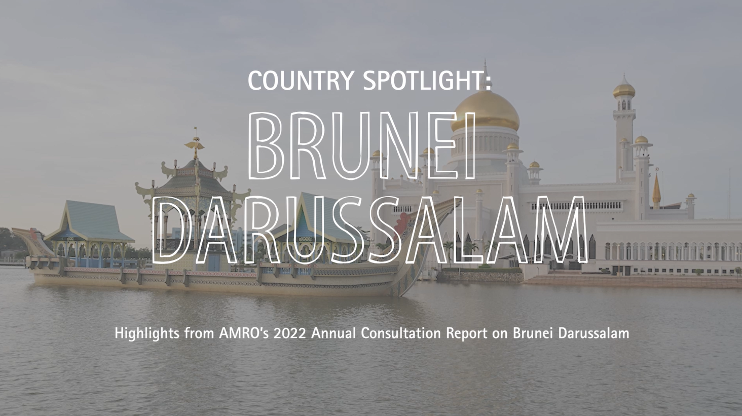 Brunei ACR video thumbnail